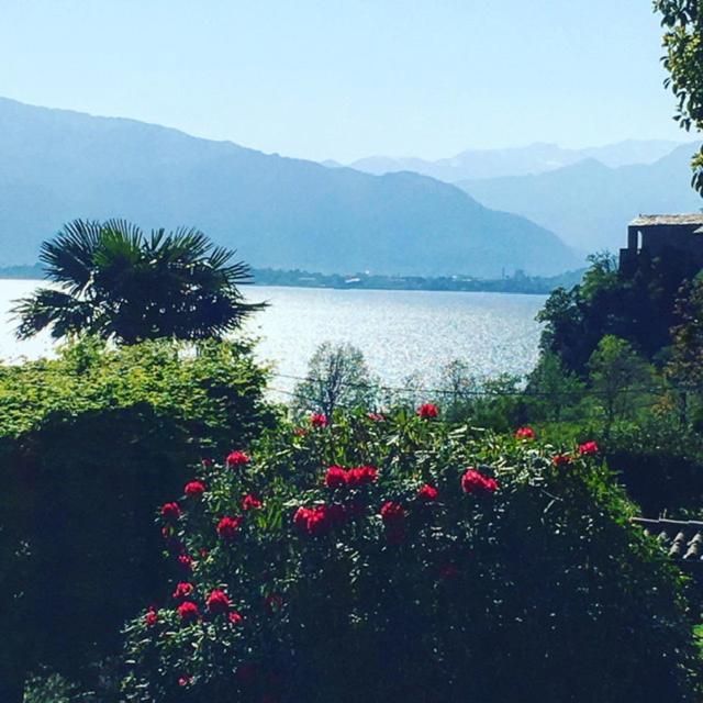 Bed and Breakfast Il Motto Di Tommy Castelveccana Экстерьер фото
